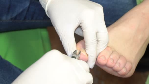 Manicure usa ferramentas profissionais para um pedicuro — Vídeo de Stock