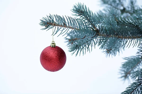 Bola de Natal com ramo de pinho — Fotografia de Stock