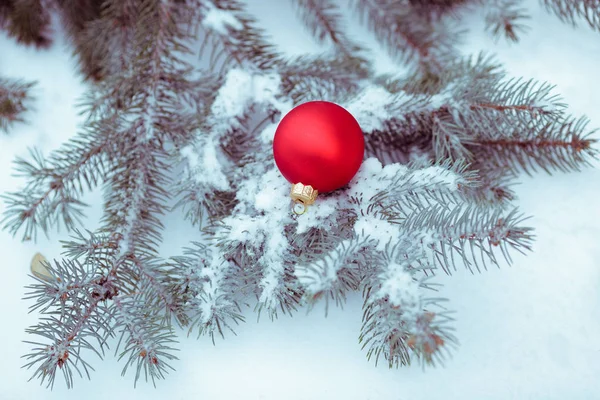Boule de Noël avec branche de pin — Photo