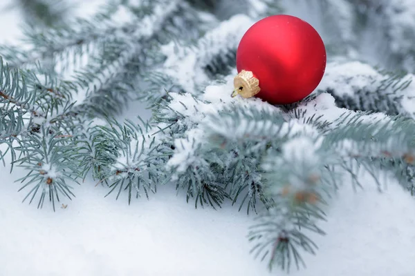 Різдвяний м'яч з сосновою гілкою — стокове фото