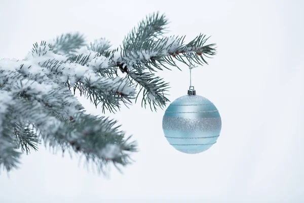 Vánoční koule s větví borovice — Stock fotografie