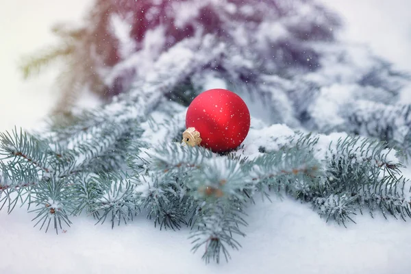 Boule de Noël avec branche de pin — Photo
