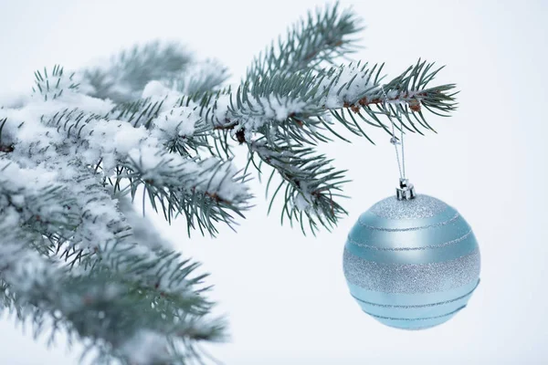 Bola de Natal com ramo de pinho — Fotografia de Stock