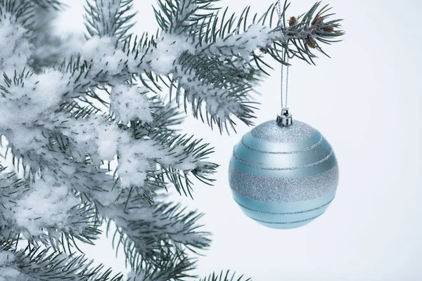 Bola de Navidad con rama de pino —  Fotos de Stock