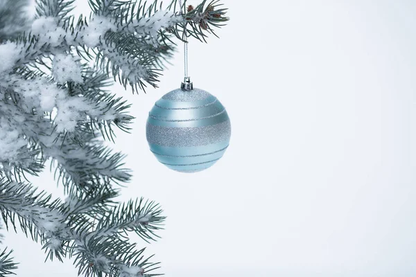 Boule de Noël avec branche de pin — Photo