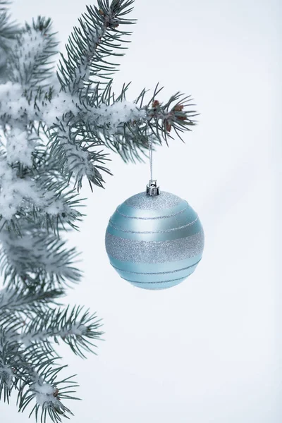 Bola de Navidad con rama de pino — Foto de Stock