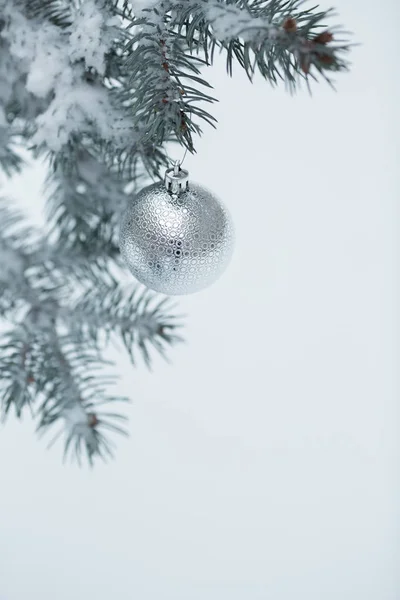 Boże Narodzenie Kula z pine oddział — Zdjęcie stockowe