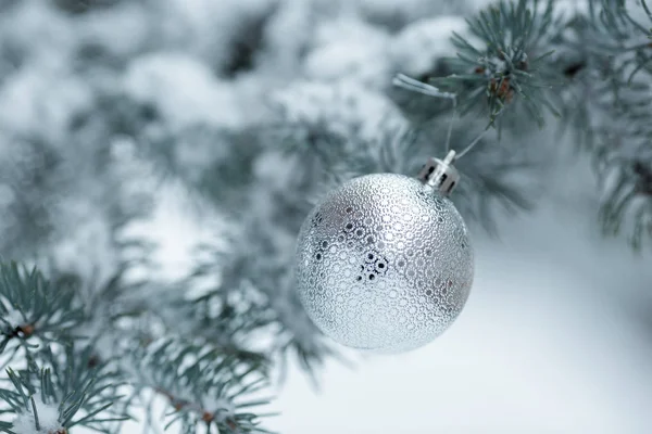 Kerstmis bal met pine branch — Stockfoto