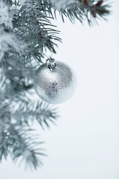 Bola de Natal com ramo de pinho — Fotografia de Stock