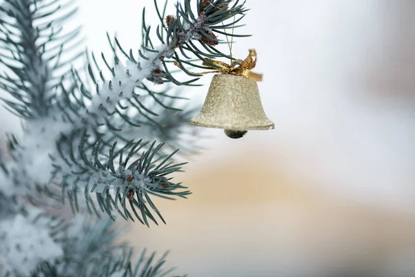 Bola de Natal com ramo de pinho — Fotografia de Stock