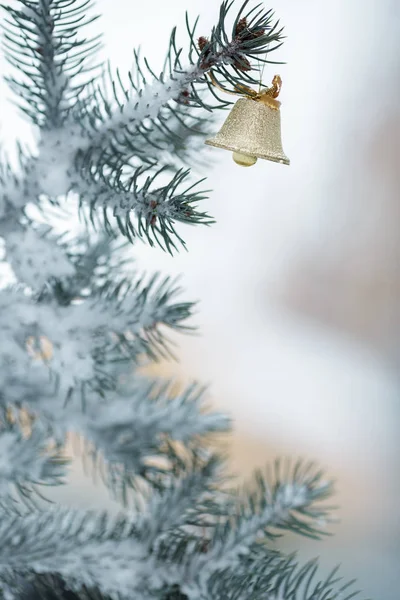 Bola de Navidad con rama de pino —  Fotos de Stock