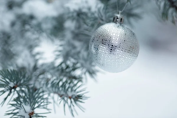 Різдвяний м'яч з сосновою гілкою — стокове фото