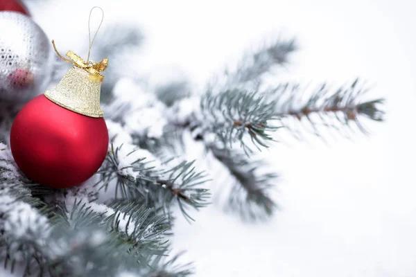 Boules de Noël avec branche de pin — Photo