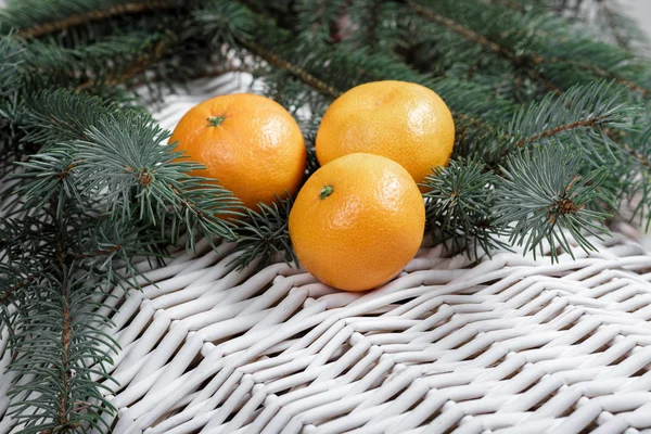 Mandarijn en een groene fir-tree — Stockfoto