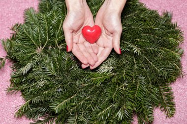 Çam dalları üzerinde kalpli eller. Sevgililer günü.