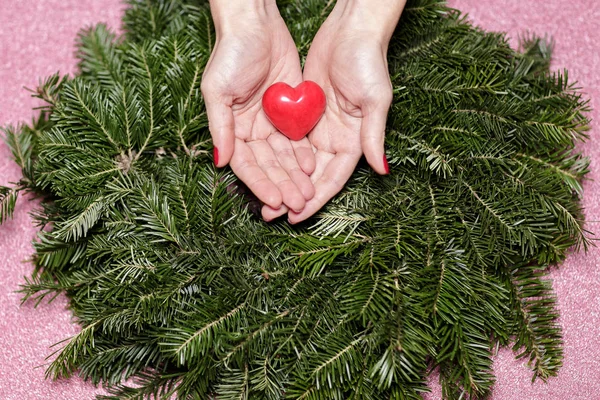 Çam dalları üzerinde kalpli eller. Sevgililer günü.