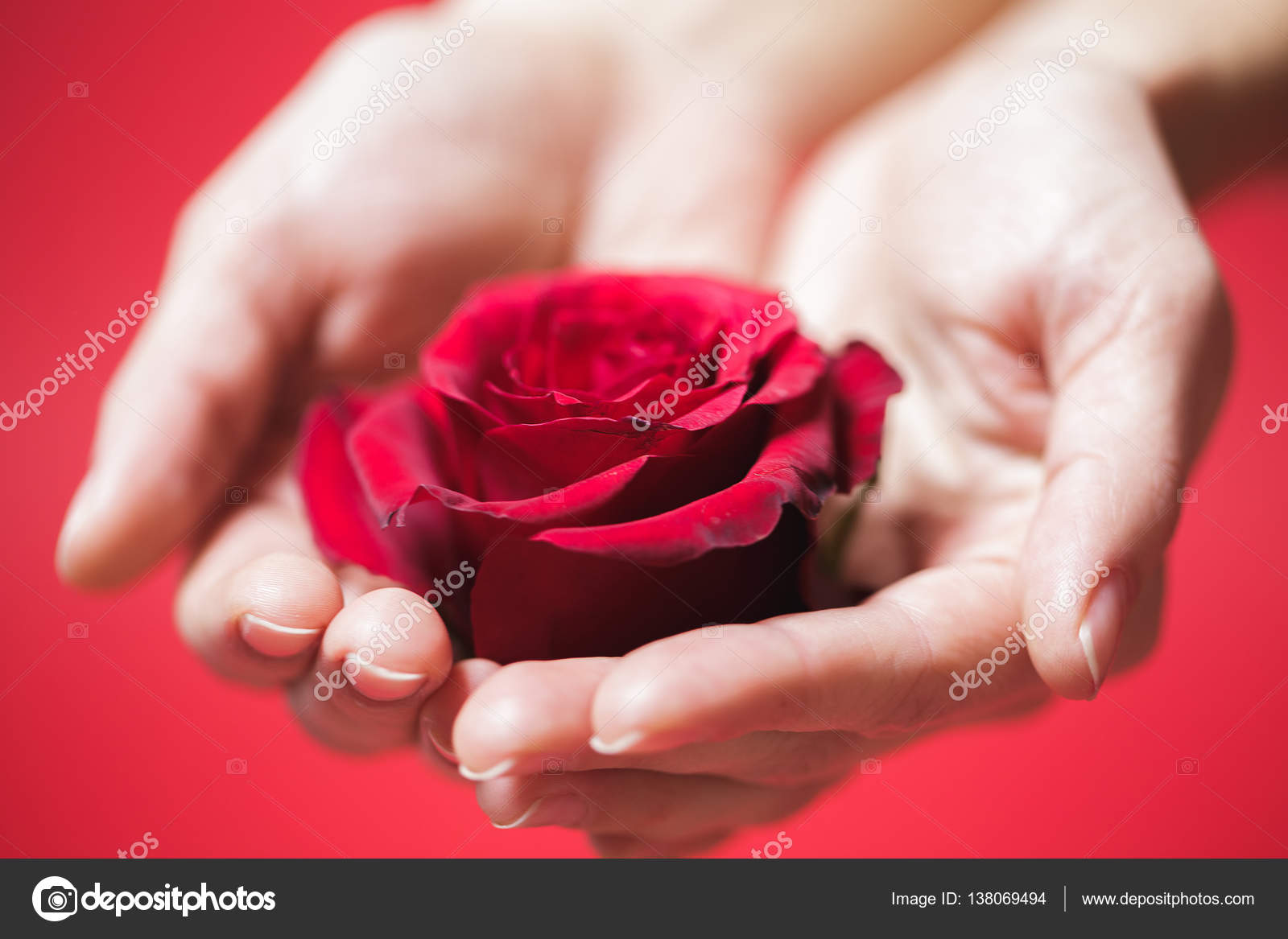depositphotos_138069494-stock-photo-beautiful-red-rose-in-woman.jpg