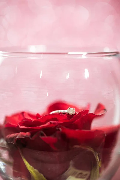 Ring mit Diamant auf roter Rose — Stockfoto
