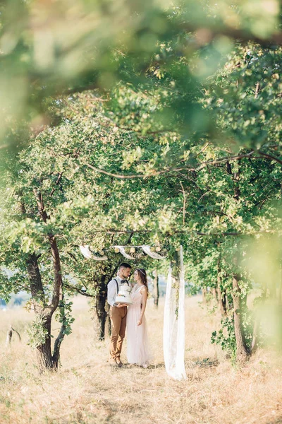 Bruden och brudgummen håller en bröllopstårta — Stockfoto