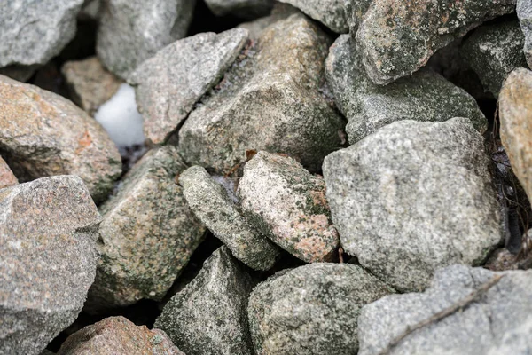 돌 질감, 배경, 공원에서 회색 돌 — 스톡 사진