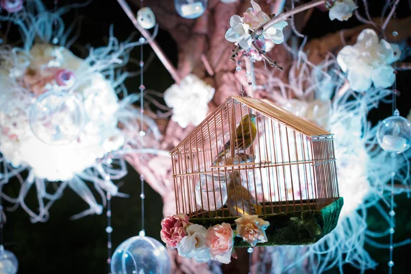 Vacker fågel i bur — Stockfoto