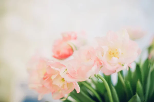 明るい背景にピンクのチューリップの花束。春の背景 — ストック写真