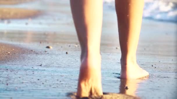 Mulheres belas pernas bronzeadas andando na areia na praia. Menina andando pelo mar ao pôr do sol — Vídeo de Stock