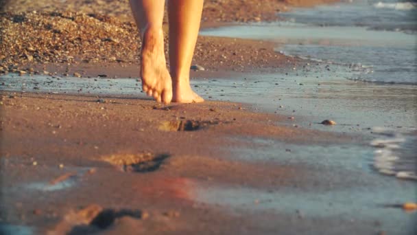 Femmes belles jambes bronzées marchant sur le sable à la plage. Fille marche par la mer au coucher du soleil — Video