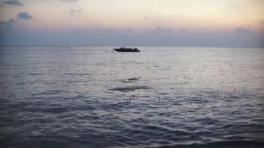 taş su yüzeyine defalarca atma