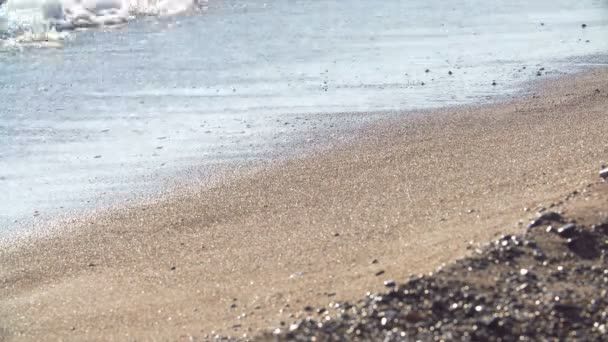 Γυναικεία όμορφα δεψασμένα πόδια το περπάτημα στην άμμο στην παραλία. Το κορίτσι με τα πόδια από τη θάλασσα — Αρχείο Βίντεο
