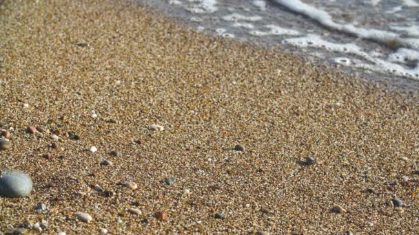 Våg av havet på sandstranden — Stockvideo