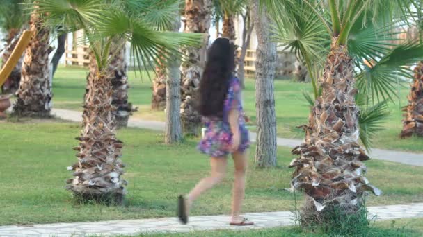 Hosszú hajú fiatal cserzett nő sétál ösvényen trópusi pálmafák között — Stock videók