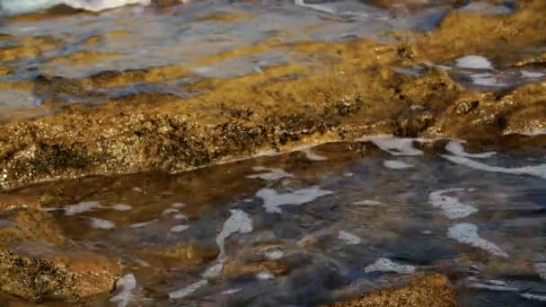 Wellen krachen auf Steinstrand. Meereswellen brechen an sonnigen Sommertagen an Felsen — Stockvideo