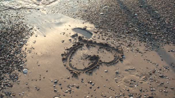화창한 날에는 바다에 모래에 심 혼 — 비디오