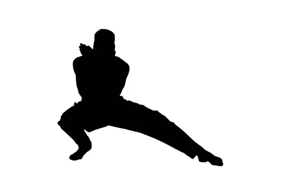 Masculino ninja silhueta no fundo branco — Fotografia de Stock