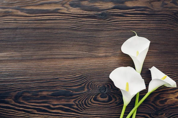 Weiße Calla-Blüten auf Holzgrund, Draufsicht. Leerraum für Text — Stockfoto