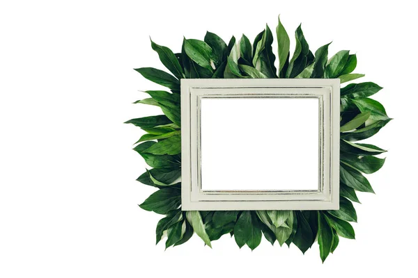 Pastel wooden frame decorated with green leaves, space for text. mock up — Stock Photo, Image