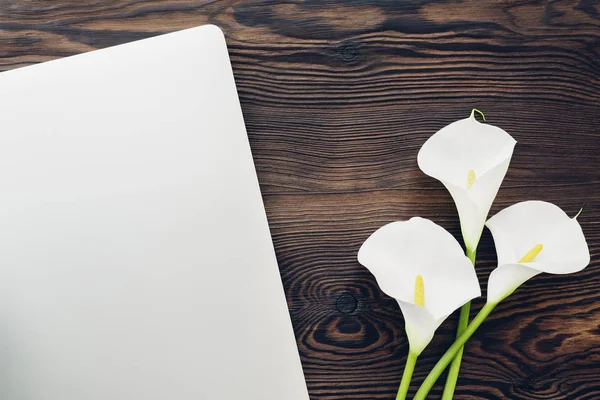 平躺的白色马蹄莲花和笔记本电脑上木制的背景下，顶视图. — 图库照片