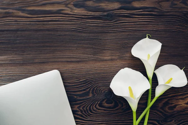 Flat lay branco calla flores e laptop no fundo de madeira, vista superior . — Fotografia de Stock