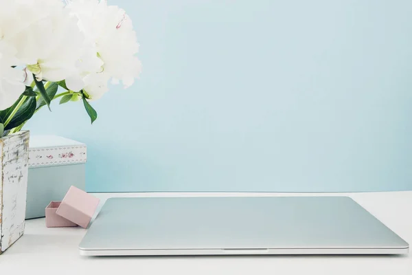 Laptop con schermo bianco bianco e fiori in vaso sul tavolo su sfondo blu. prendere in giro — Foto Stock