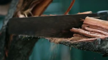 Yaz aylarında ağaçta şapka testere dalında genç adam. Ahşap testere yakın çekim