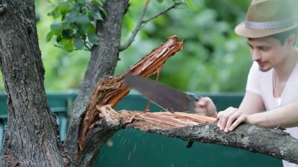 Young man in hat saws branch on tree in the summer. Sawing wood — Stock Video