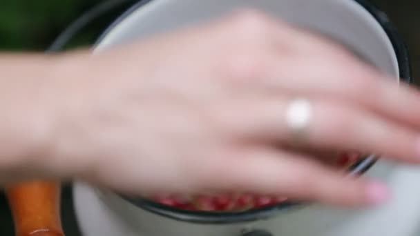 Жіночі руки оглядають червону свіжу смородину — стокове відео