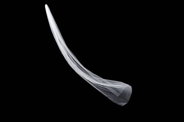 siyah arka plan üzerine izole beyaz düğün gelin peçe