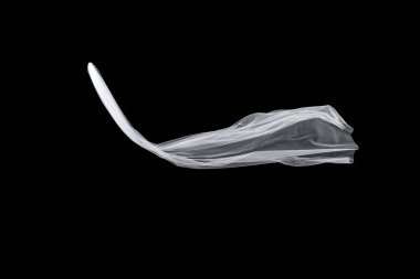 siyah arka plan üzerine izole beyaz düğün gelin peçe