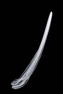 siyah arka plan üzerine izole beyaz düğün gelin peçe