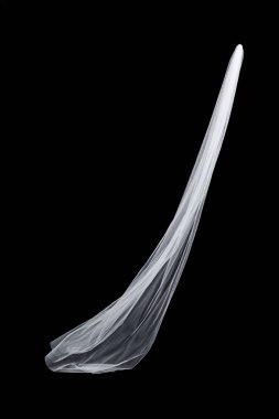 siyah arka plan üzerine izole beyaz düğün gelin peçe