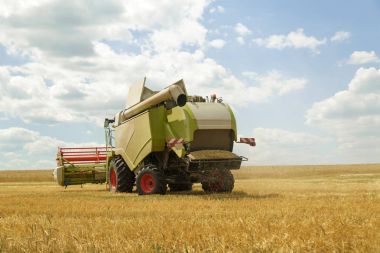 Çalışma biçerdöver buğday alanında birleştirir. Tarım arka plan.