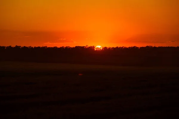 Прекрасний захід сонця на літньому полі — стокове фото