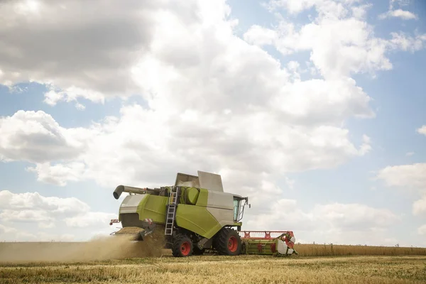 Working combine harvester in a wheat field. Agricultural background. — Stock Photo, Image